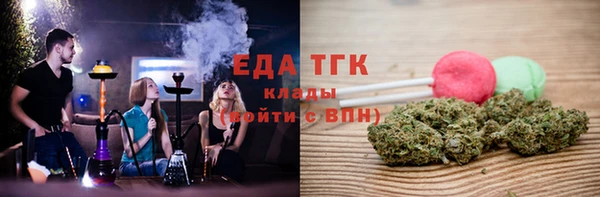 ECSTASY Алзамай