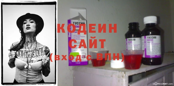ECSTASY Алзамай