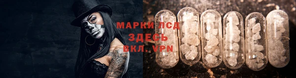 гидра Алексин