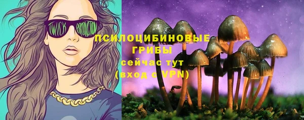 ECSTASY Алзамай