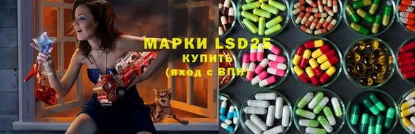 гидра Алексин