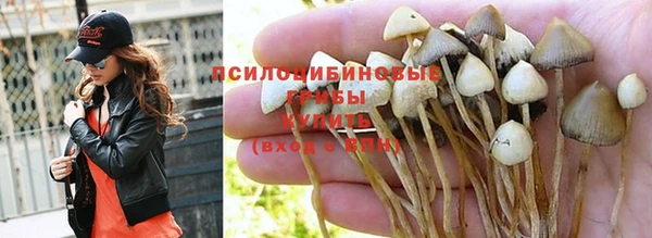 амф Алексеевка