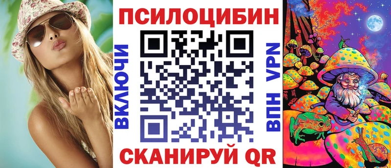 Псилоцибиновые грибы Psilocybine cubensis  Биробиджан 