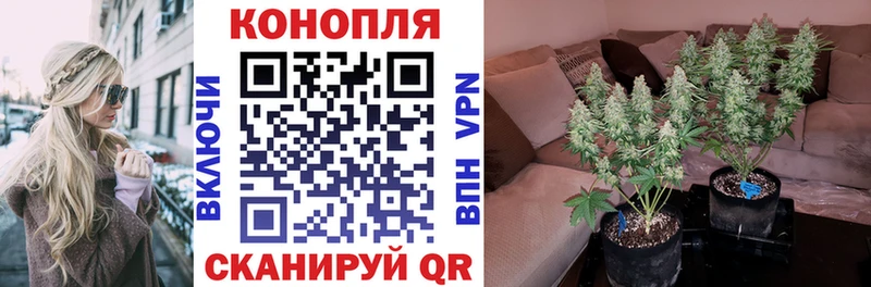 цены   omg ONION  Бошки марихуана индика  Биробиджан 
